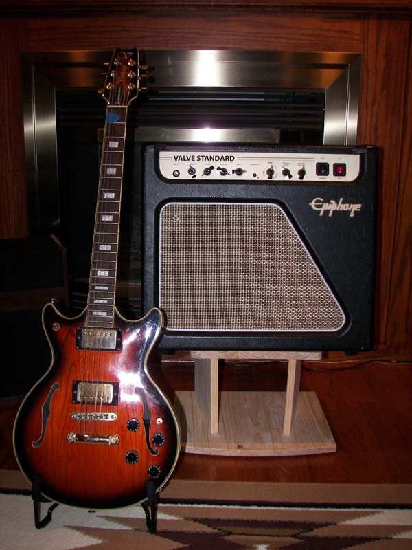 Epiphone Amp on custom stand and Vantage Entertainer