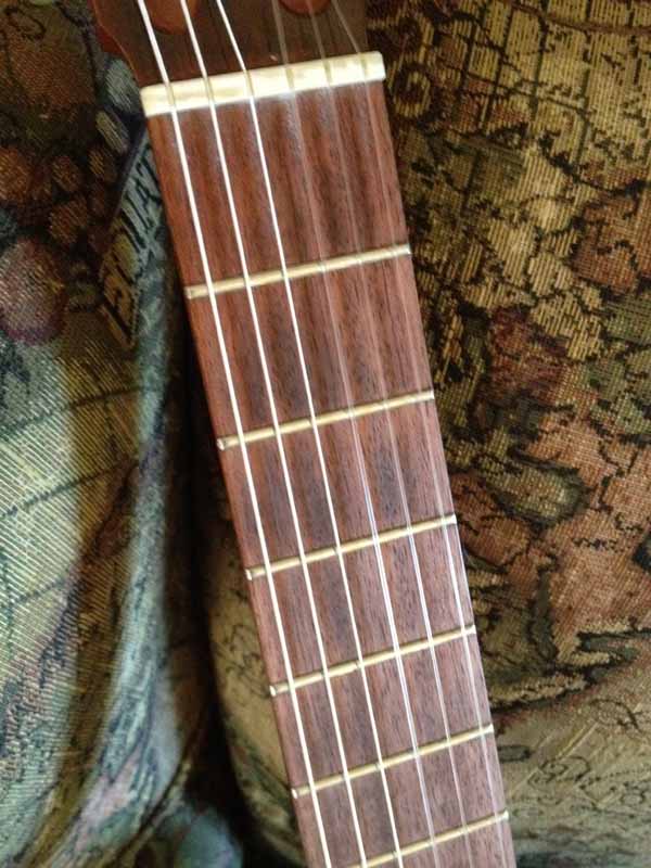 New Frets and Nut